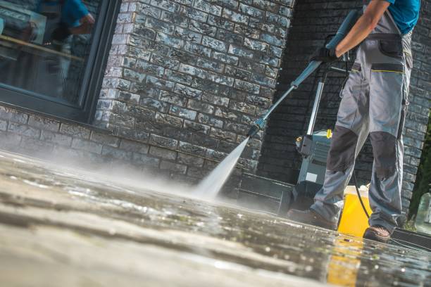 Best Driveway Cleaning and Restoration in Bardstown, KY