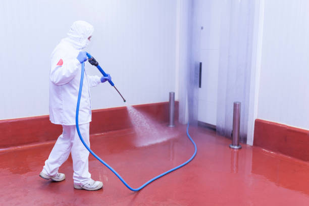 Best Roof Cleaning and Mildew Removal in Bardstown, KY